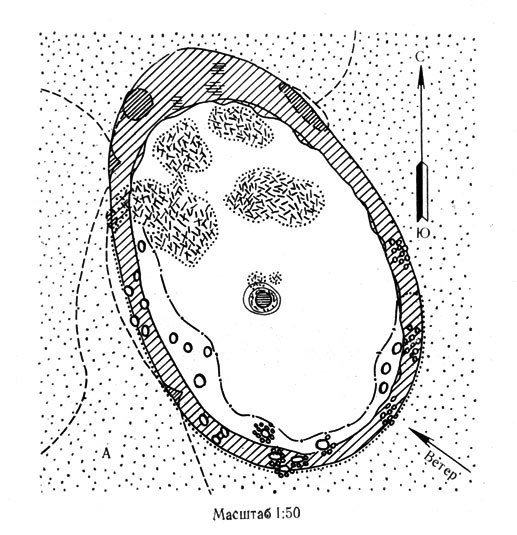 Рис. 5А. Схема подкронового пространства черного саксаула и солянки (парцеллы подпокровного пространства) - биогеоценотическая система 'вложенных структур' (южная пустыня, Восточные Каракумы)