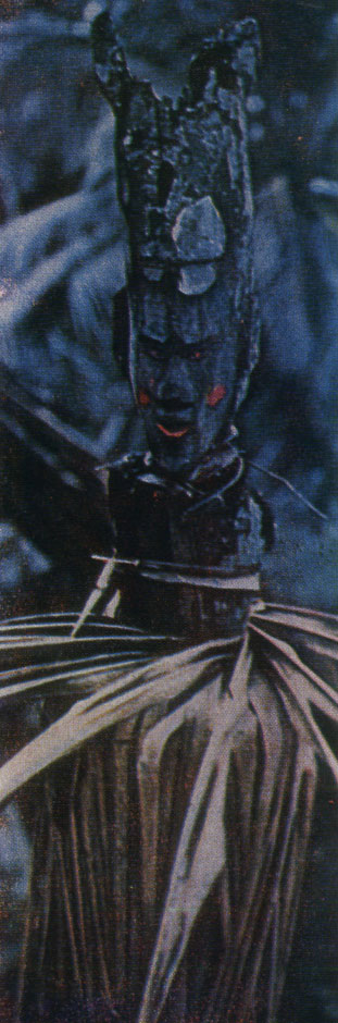 Фетиш никобарцев, установленный перед входом в хижину, чтобы отпугивать злых духов (иви)