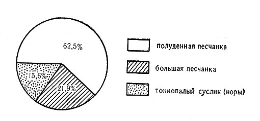 Рис. 7. Соотношение поселений разных видов грызунов-землероев в эфедровом черносаксаульнике (южная песчаная пустыня, Восточные Каракумы)