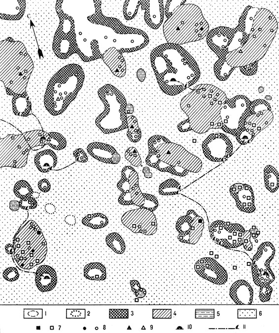 Рис. 13. Схема морфоструктуры биогеоценоза эфедрового черносак-саульника. 'Сетевидные зоны аккумуляции органического вещества', образованные подкроновой растительностью (песчаная пустыня южного типа, Восточные Каракумы. Пробная площадь 0,25 га): 1 - подкроновое пространство черного саксаула с повышенной засоленностью и уплотненностью поверхности почвы; 2 - 'реликтовое подкроновое пространство' на месте отмершего дерева; 3 - бордюрные микрогруппировки подкроновой растительности черного саксаула; 4 - подкроновые разнотравно-злаковые микрогруппировки эфедры шишконосной на эфедрогенных буграх; 5 - подкроновые солянково-злаковые микрогруппировки кандымов; 6 - песчаные поляны, заросшие илаком; 7 - выходы из нор (жилых и нежилых) большой песчанки; 8 - полуденной песчанки; 9 - тонкопалого суслика; 10 - муравейник; 11 - муравьиная тропа и место сбора колосков