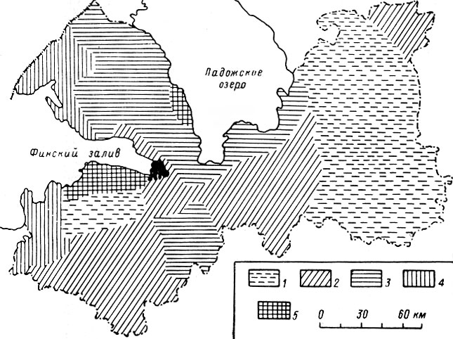 Рис. 14. Распределение плотности населения лося в Ленинградской обл. в 1962-1964 гг. (по О. С. Русакову, 1968). 1 - 1,5-3, экз. на 1000 га; 2 - 2,1-6,0 экз; 3 - 6,1-9,0 экз; 4 - 9,1-13,5 экз; 5 - свыше 13,5 экз