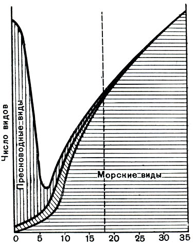 Рис. 13. Положение солоноватоводной фауны (косая штриховка) между морской и пресноводной