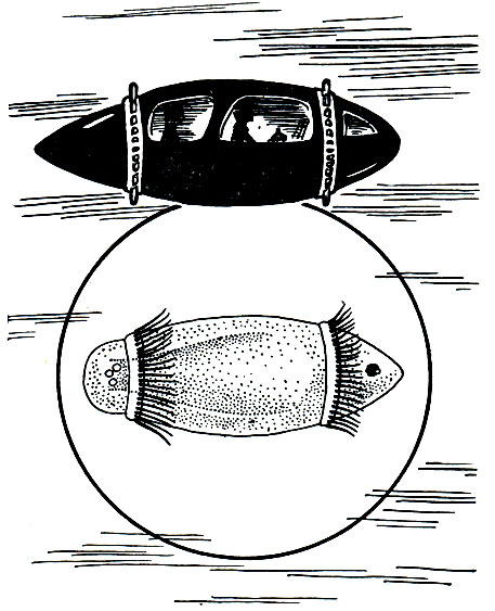 Рис. 268. Роторная подводная лодка и трохофора