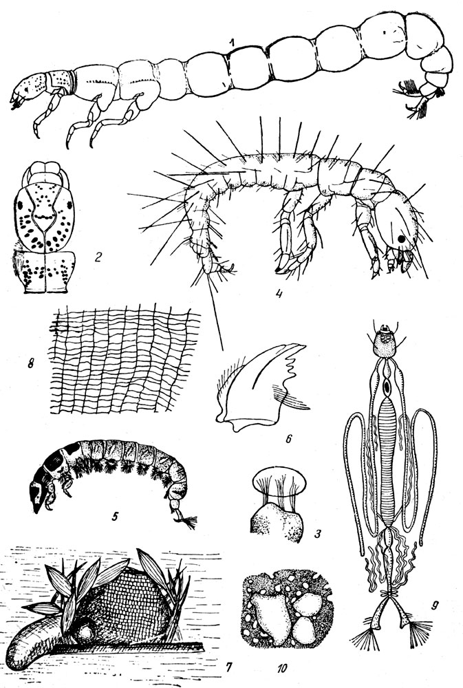 ТАБЛИЦА XLV: Рис. 1. Личинки нейреклипса (Neureclipsis bimaculata). - Рис. 2. Голова и переднеспинка нейреклипса (Neureclipsis bimaculata). - Рис. 3. Яйцо гидропсихе (Hydropsyche ornatnla), приклеенное к песчинке (по Неизвестновой-Жадиной). - Рис. 4. Личиночка гидропсихе. - Рис. 5. Личинка гидропсихе. - Рис. 6. Жвала гидропсихе. - Рис. 7. Ловчая камера гидропсихе. - Рис. 8. Ткань сети гидропсихе. - Рис. 9. Пищеварительный канал и прядильные железы личинки гидропсихе, - Рис. 10. Заднее сито домика куколки гидропсихе.