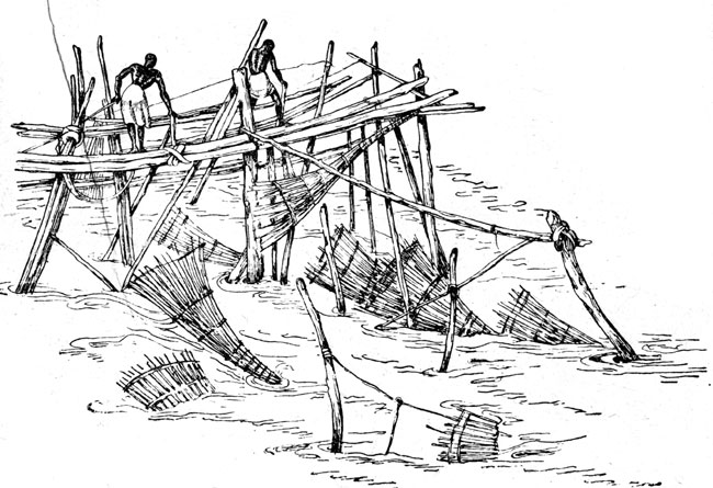 Рис. 21. Верши для вылова рыбы в Бельгийском Конго (по Бернатцику)
